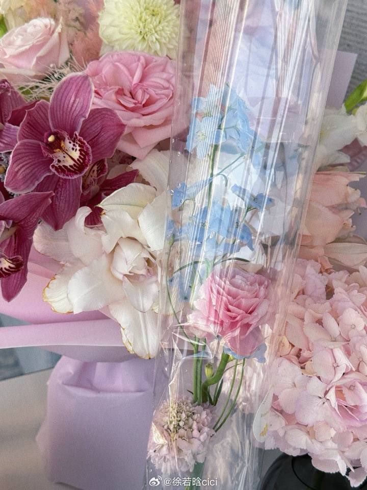 许, 𝖺𝗅𝖺𝗂̈𝖺. tweet media