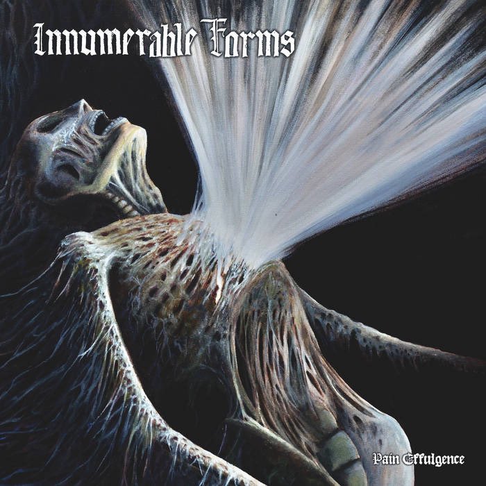 INNUMERABLE FORMS - PAIN EFFULGENCE IS OFFICIALLY OUT NOW