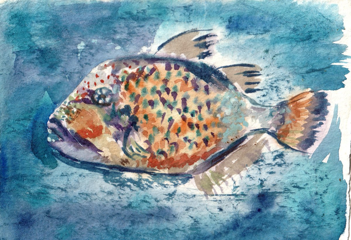 рібі місяця