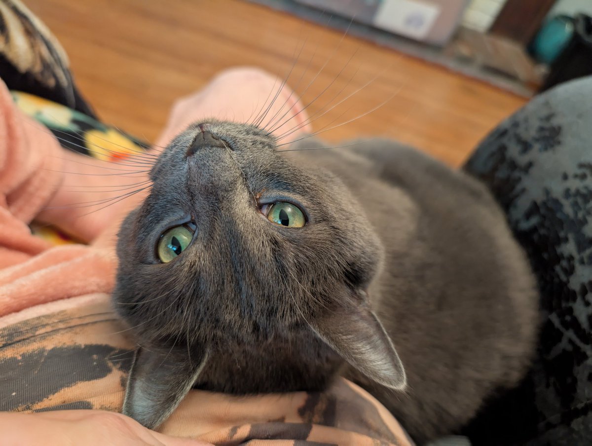 Lover boy