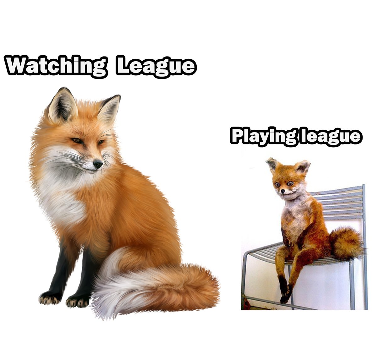 TheWanderingPro (@mrwanderingpro) on Twitter photo 