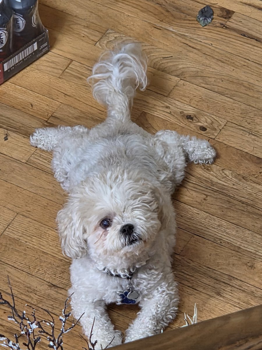 BobBox999's tweet image. Say Happy Birthday to the Bestest Boi and Cyclops! My old man 🎂 🥳