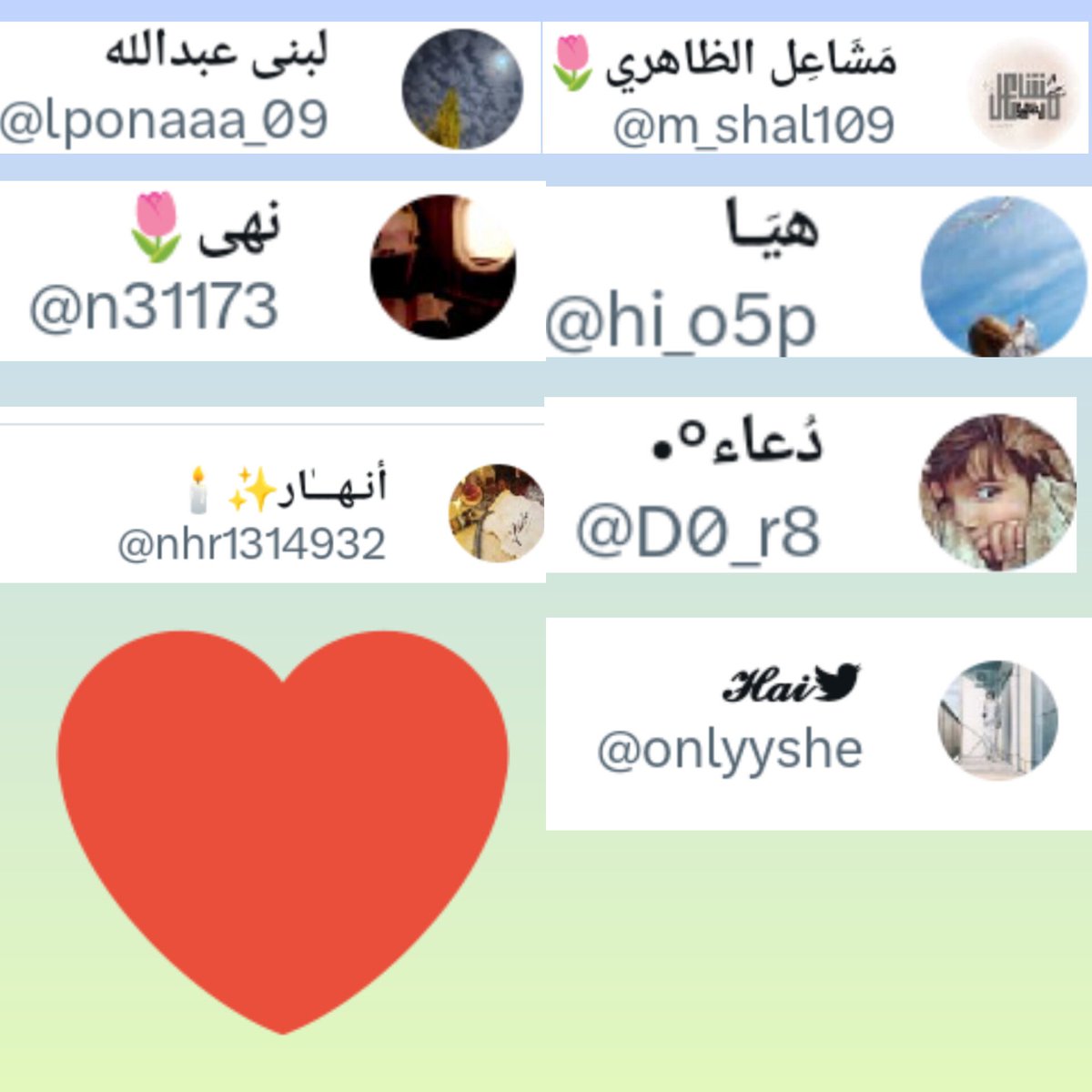 ميمونة جهاد tweet media