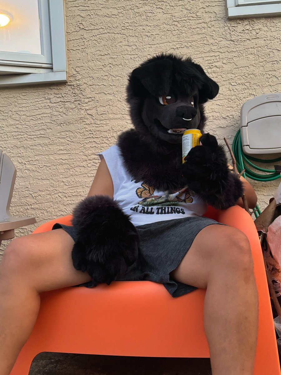 Bandit 🐕‍🦺 tweet media