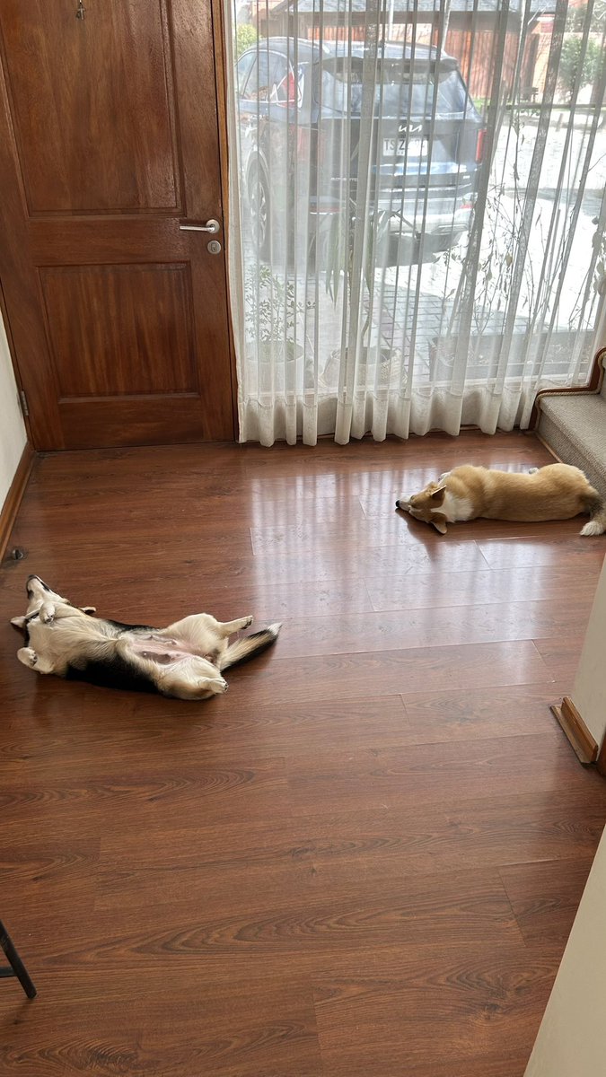 #AutopistaConTodo A mis chupetones no se les nota nuestro estrés