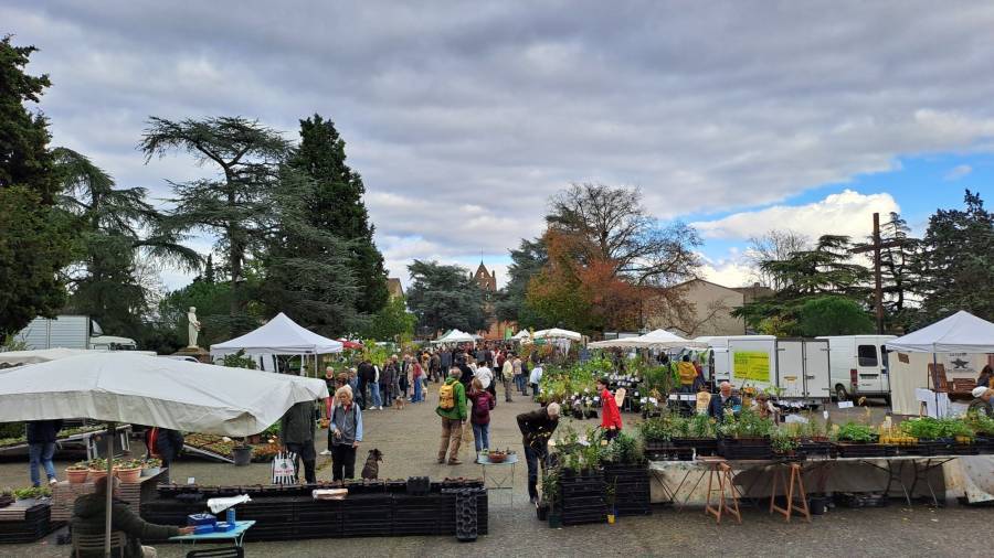 Colomiers - Festi Jardin le 9 Novembre 2025 Esplanade Sainte Germaine à Pibrac (31820) #colomiers ift.tt/wcNboLS