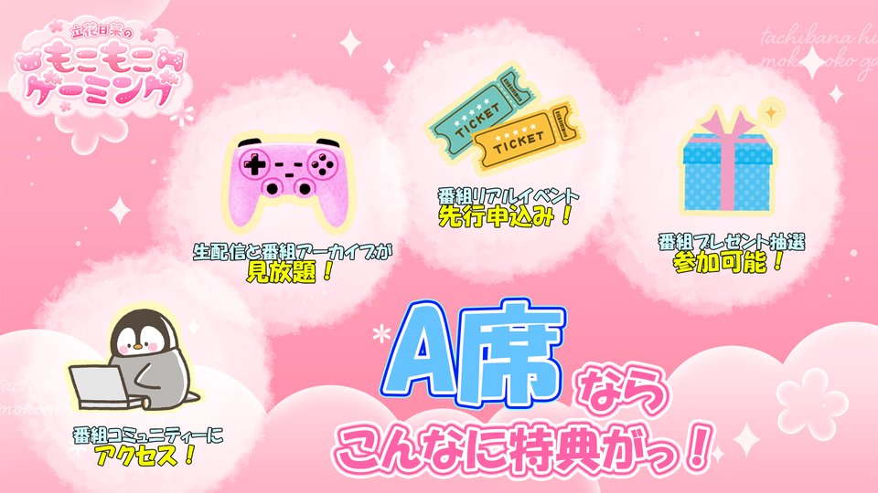 立花日菜　もこげ　サイン いよいよ11月25日（土）に開催！『立花日菜のもこもこゲーミング