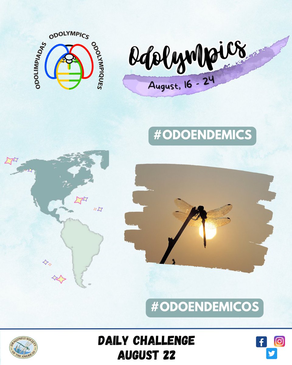 📷inaturalist.org/projects/odoly…
OR
📷 odonatacentral.org/#/