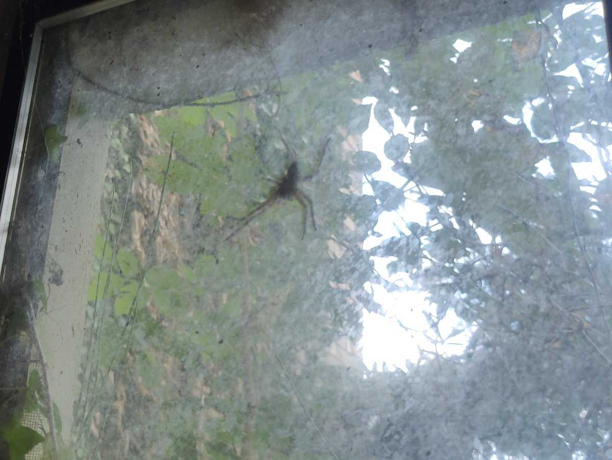 Glad it's outside the window.