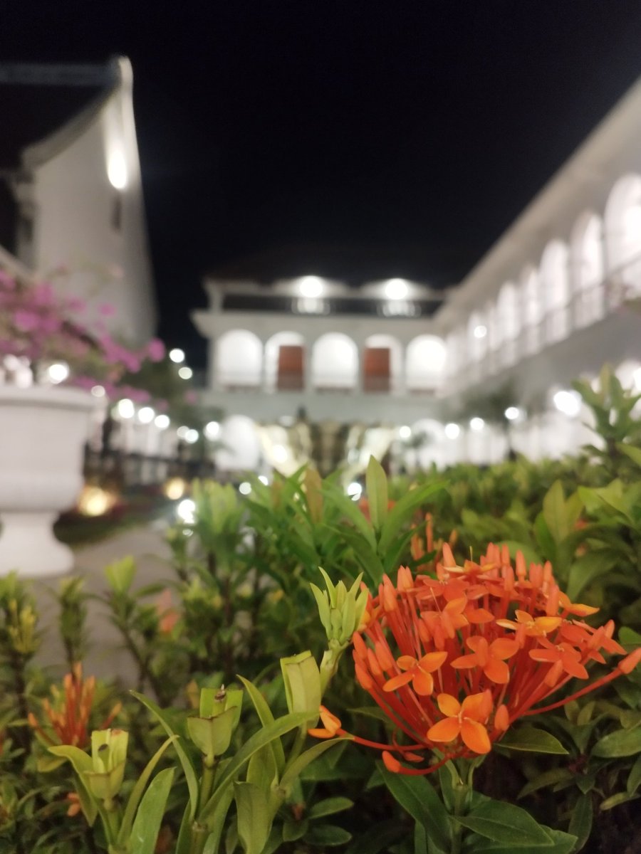 GMonad for a good friday night 💜💜

tebak lokesyen gaes <a href="/indonads_/">Indonads (evm/acc) 🇮🇩</a>