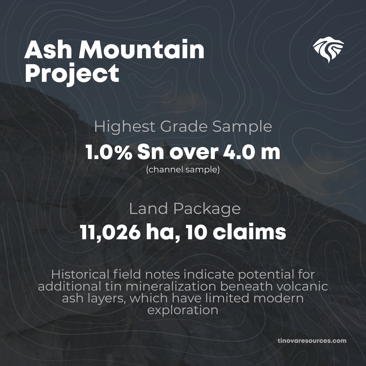 In the ongoing evolution of global supply chains, the importance of #criticalminerals has never been more visible or more urgent. Today, nations are moving quickly to secure critical minerals, with #tin now formally designated as critical in both the U.S. and Canada.  

This gap