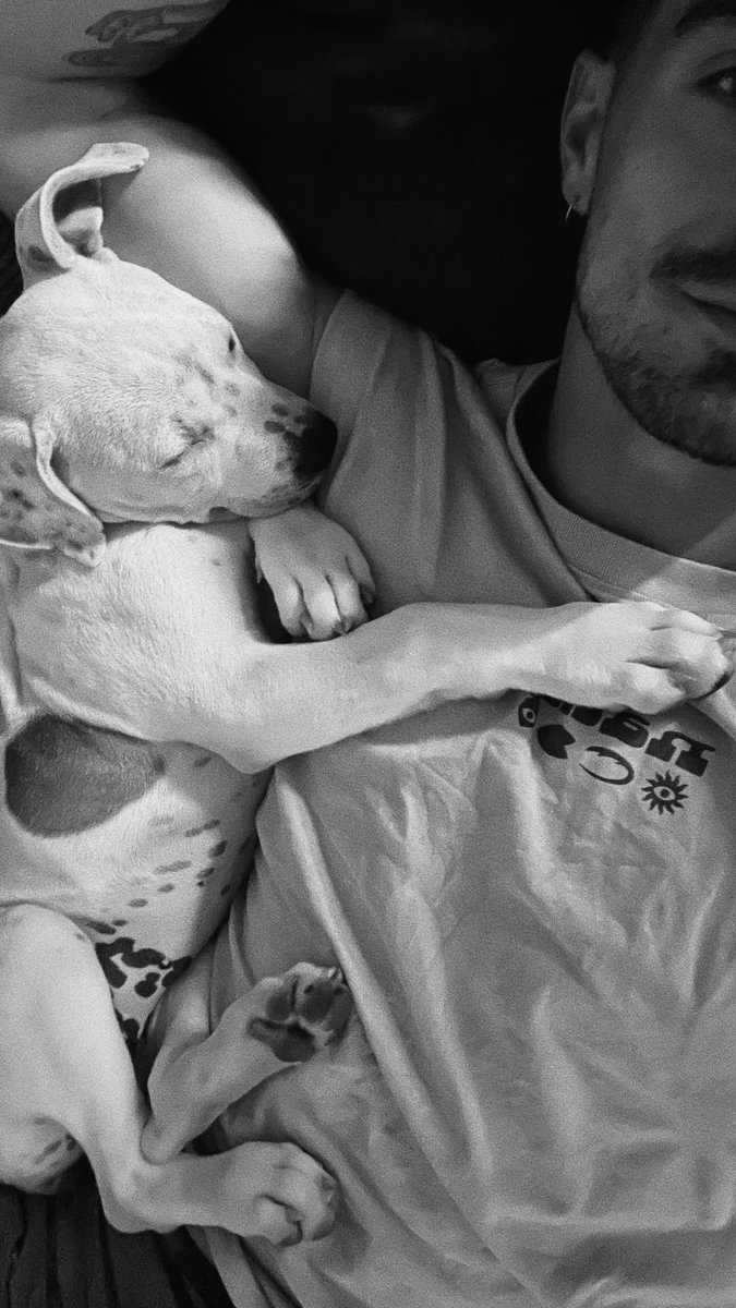 They say a dog is a man's best friend. They ain't lying
