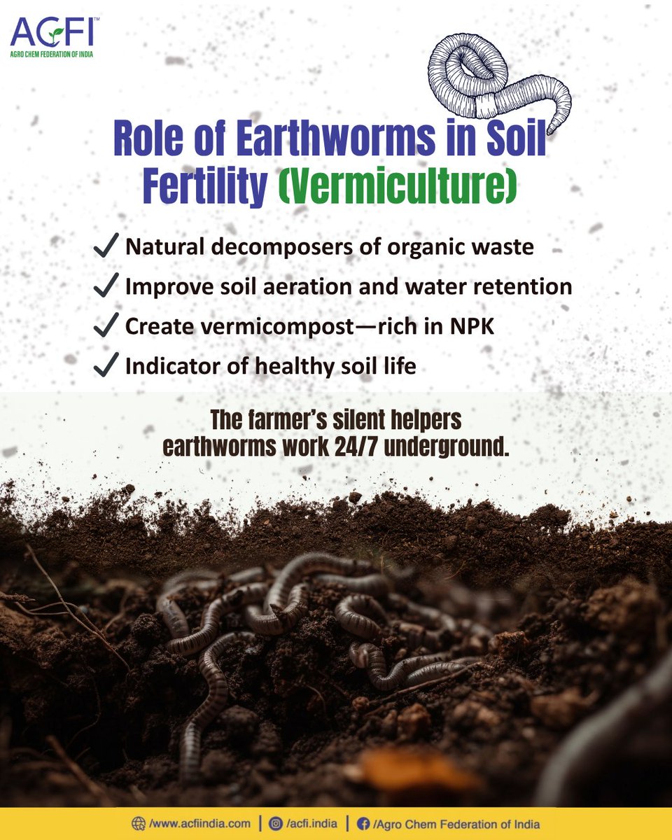 acfi_India's tweet image. Earthworms—the silent helpers of farmers—naturally boost soil fertility and keep our fields thriving. 🌱🐛

#SoilHealth #Vermiculture #SustainableFarming #FarmersFriend #SoilFertility #SmartAgriculture  #AgriInnovation #Agrochemicals #acfiindia #ACFI #AgroChemFederation