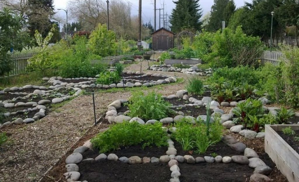 Imagine a farm that takes care of itself!

Permaculture garden  is transforming the way we think about farming. #EcoFriendly