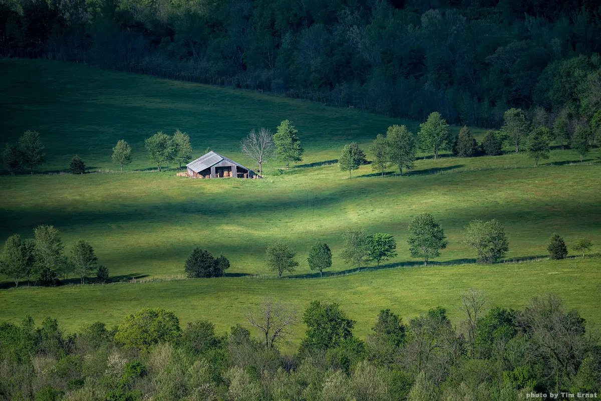 I've never spent more than two weeks outside of Arkansas, and I never want to.