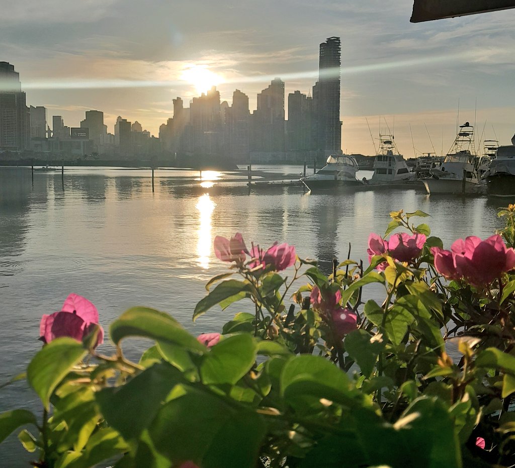 Buenos días,ví a alguien montarse en la parte de atrás de metro bus, les aseguro que si le hubiese dicho a alguien le dan el pasó, no sé si el conductor los bajó, pero así debe ser. Las normas son para todos