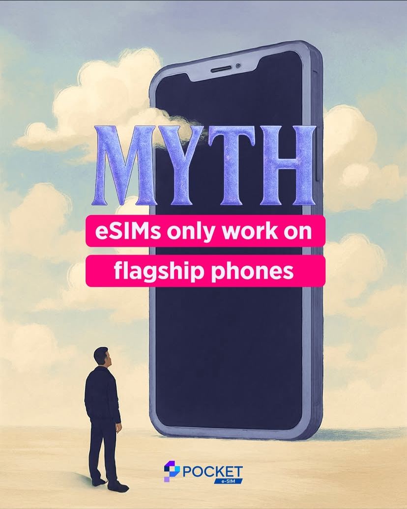 Pocket eSIM tweet media