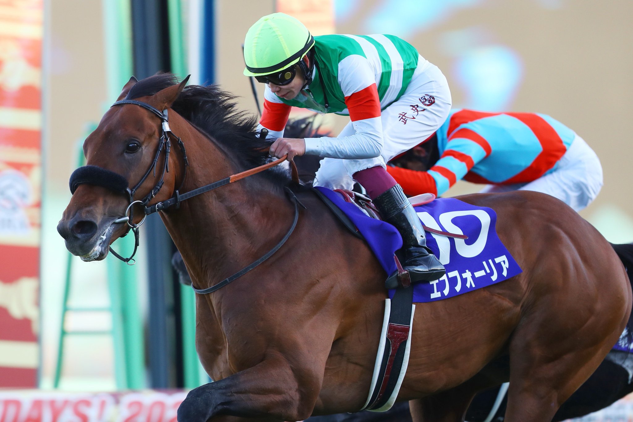 JRA-VAN公式 on X: 