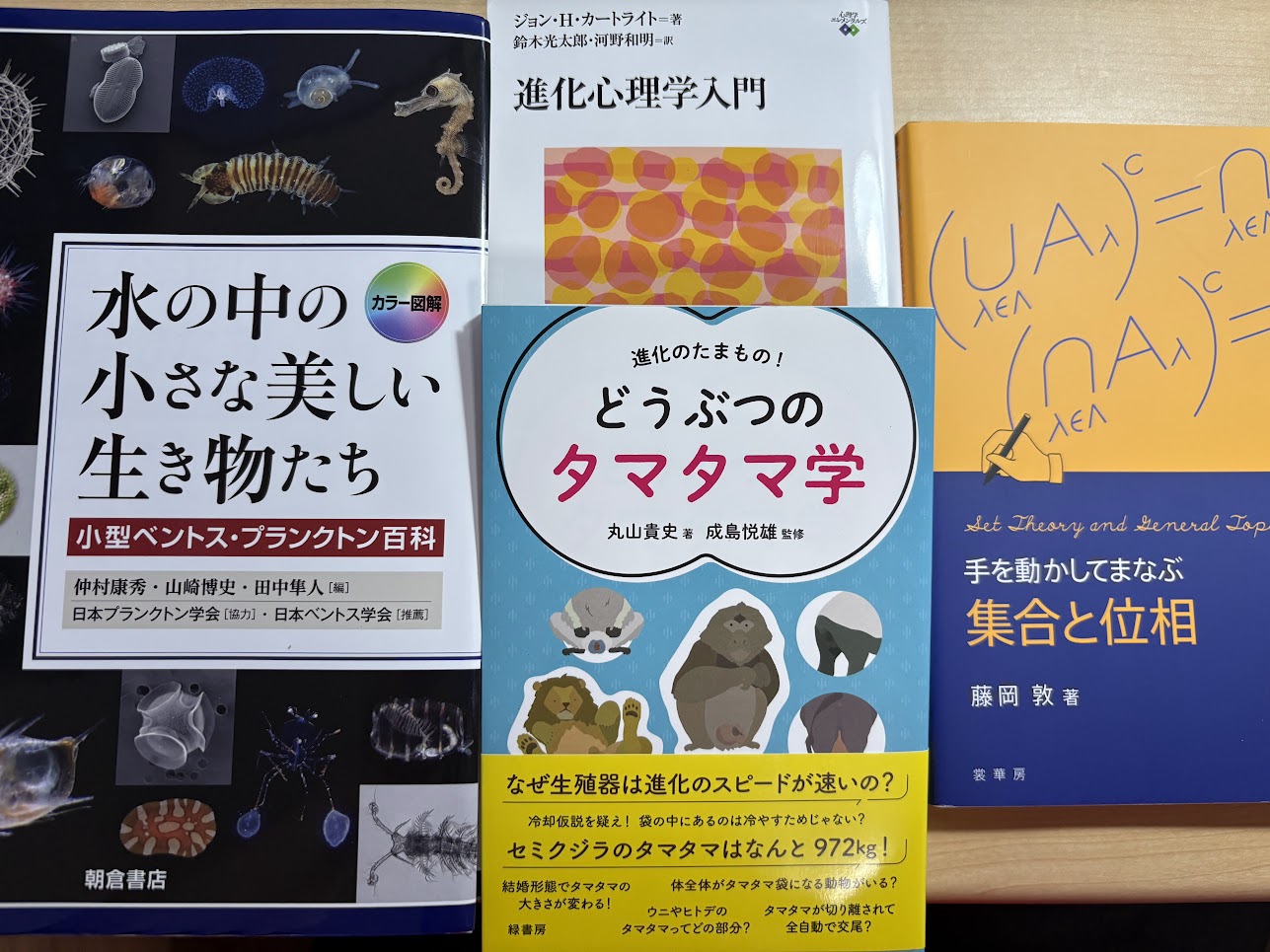 コンピュータ代数ハンドブック 代数