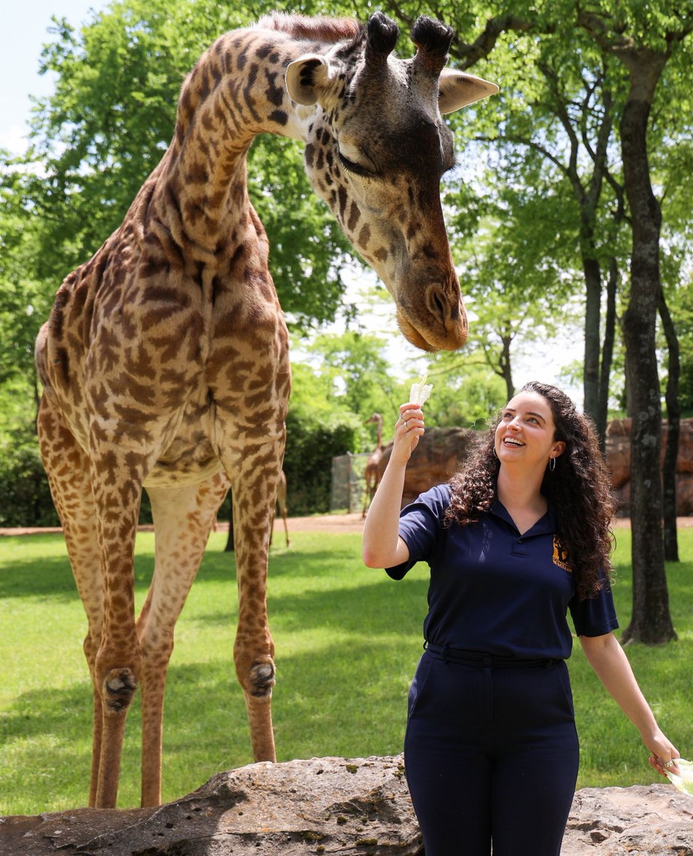 Aardvark PR tweet media