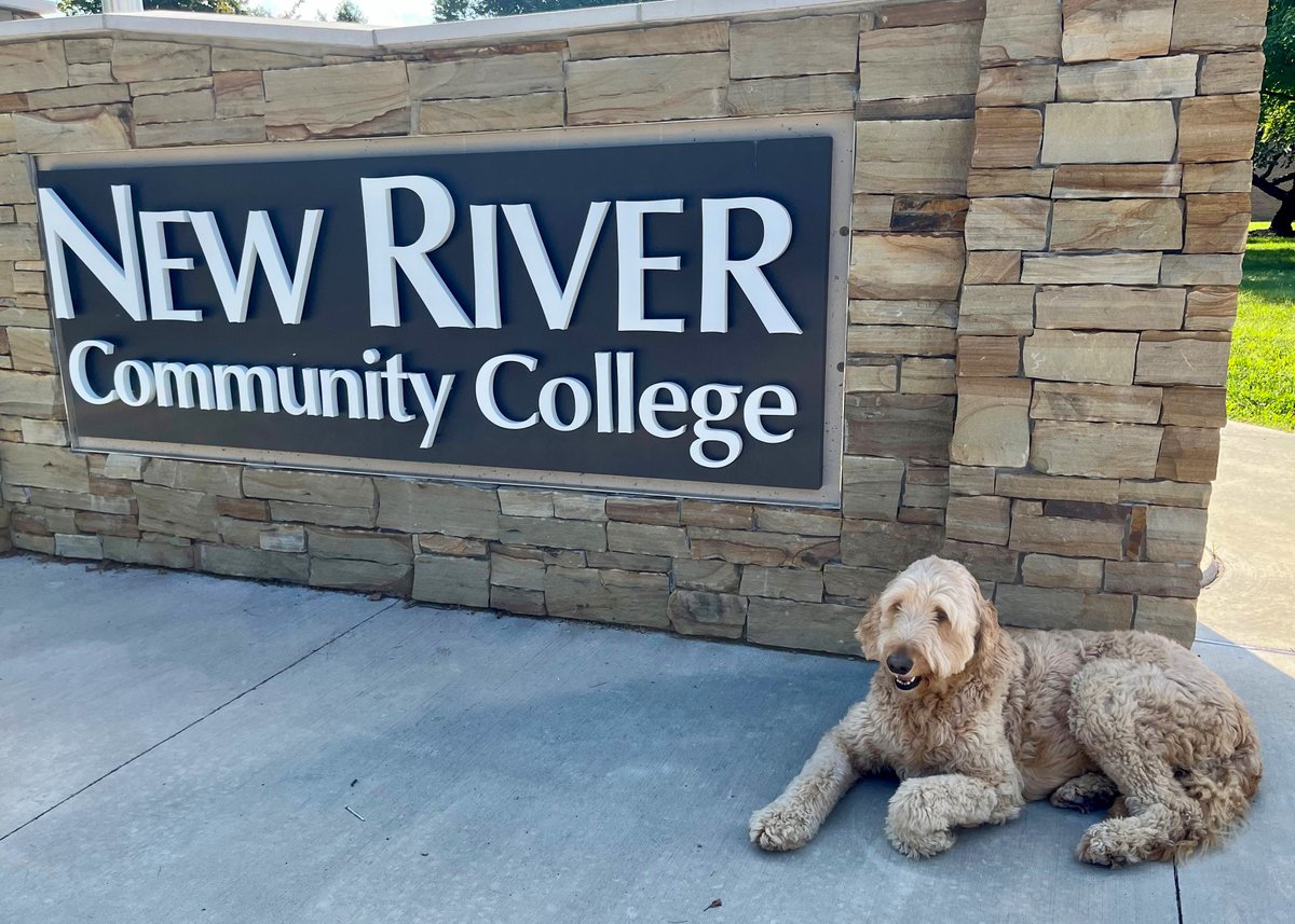Meet Delta &amp; Stevie, our adorable new therapy dogs at NRCC! As you stroll to class this fall in Dublin and Christiansburg, lookout for these fluffy stress-busters. They're here to bring smiles, wagging tails, and a dose of joy to your day! #NRCCTherapyDogs