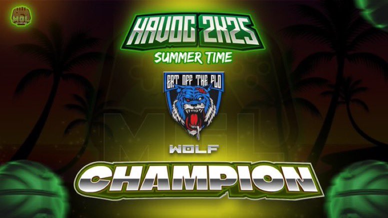 Militia Gaming League tweet media