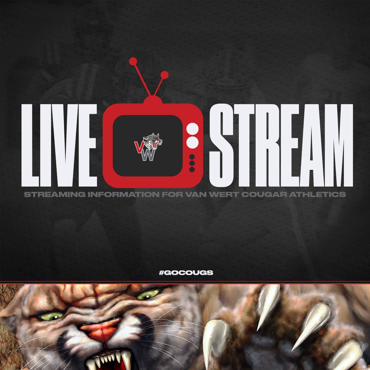 VWCougarAD tweet media