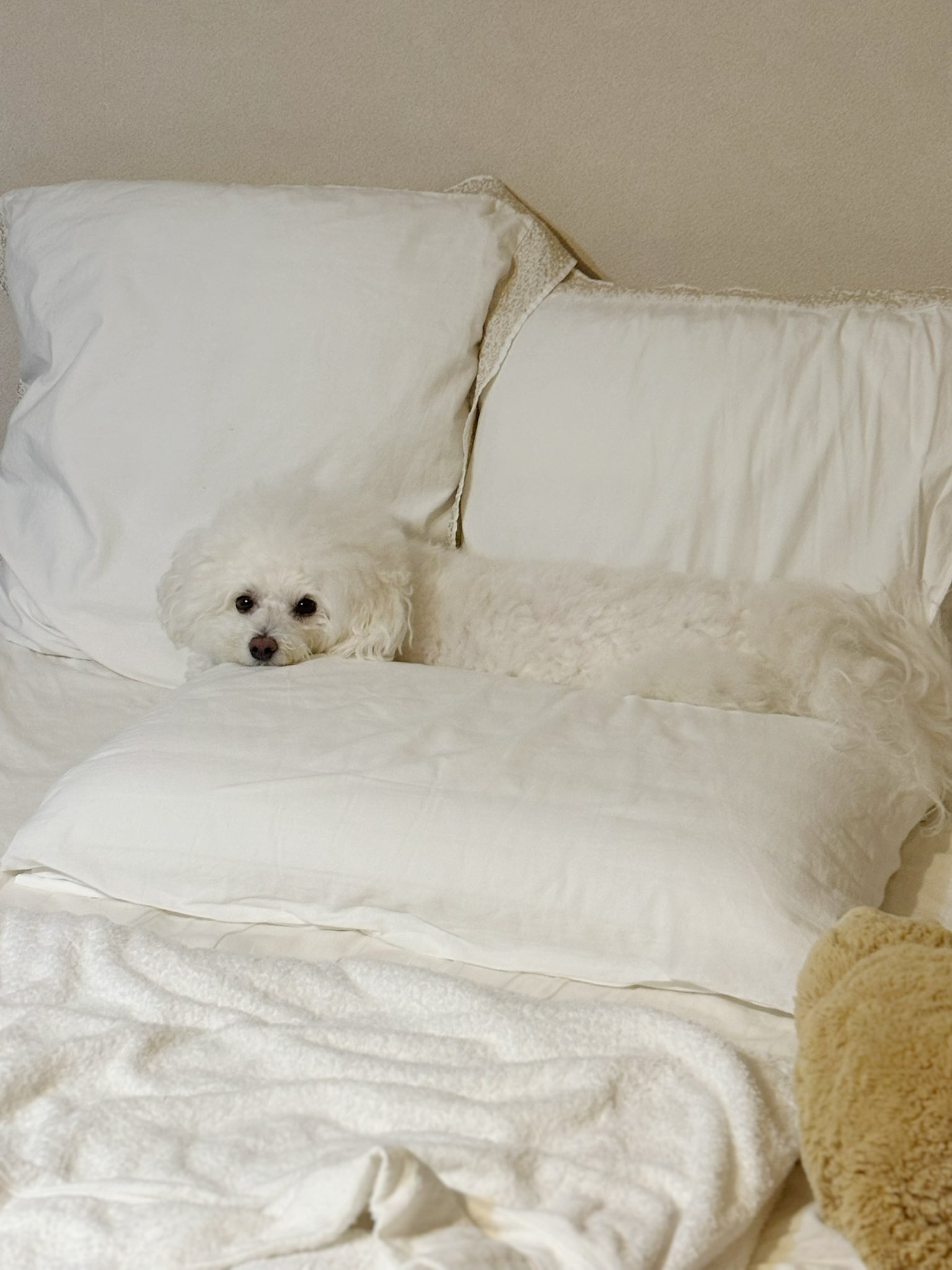 小高千枝/公認心理師 (@odakachie) / X