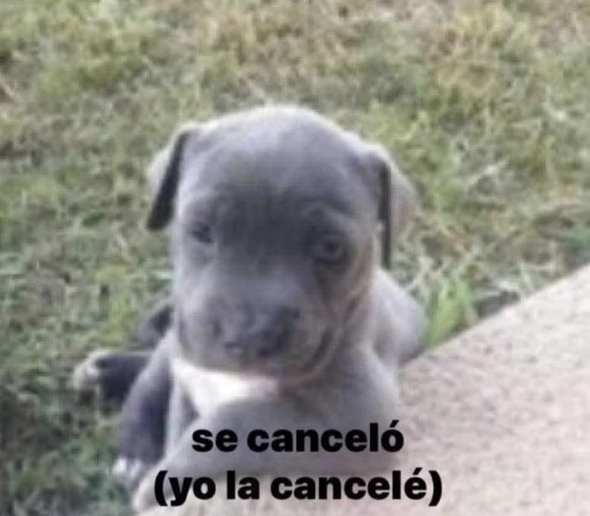 Mi mamá: Que  no tenías clases a las 9?
 Yo: