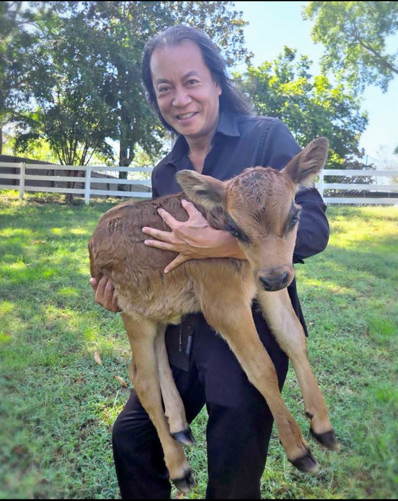 Gene Ho (@gene_1h) on Twitter photo My new baby!!
born on his homestead ๐ก๐พ yesterday! ๐๐ There is a big movement in America ๐บ๐ธ๐ with people turning to Homesteading ๐ฑ๐๐. We have been writing articles ๐๐โจ on the topic for the last year ๐
๐ฐ๐ก. But in September ๐๐, we will have a feature article โญ๐๏ธ๐ฅ My new baby!!
born on his homestead ๐ก๐พ yesterday! ๐๐ There is a big movement in America ๐บ๐ธ๐ with people turning to Homesteading ๐ฑ๐๐. We have been writing articles ๐๐โจ on the topic for the last year ๐
๐ฐ๐ก. But in September ๐๐, we will have a feature article โญ๐๏ธ๐ฅ