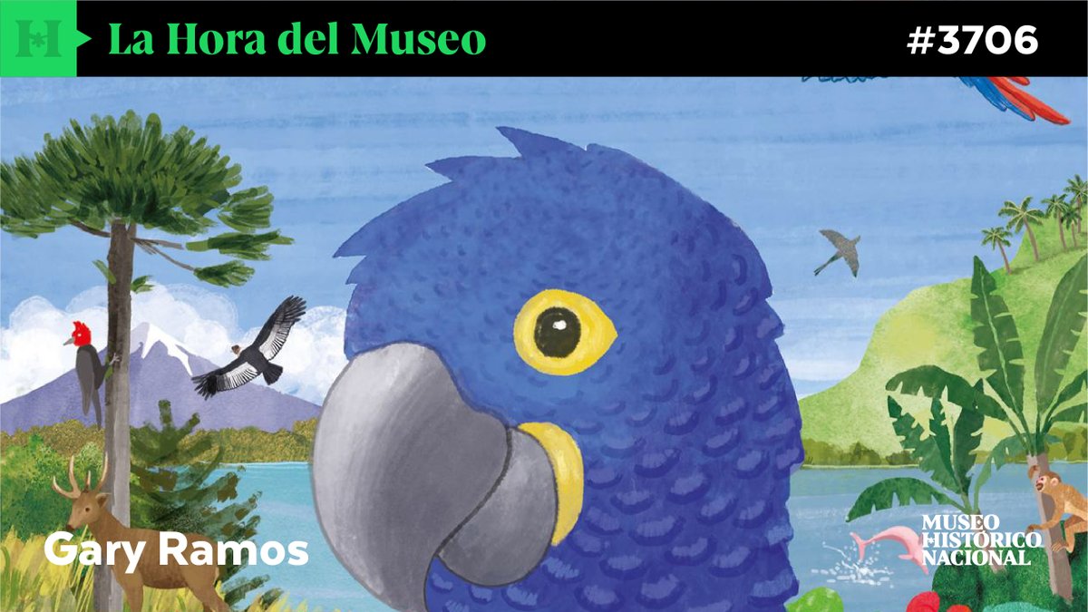 mhnchile tweet media