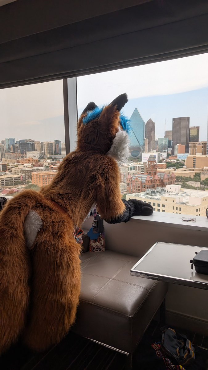 Just observing this #FursuitFriday