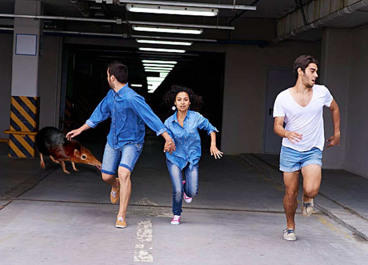 <a href="/blknoiz06/">Ansem 🧸💸</a> Never left. Just waiting for the right time