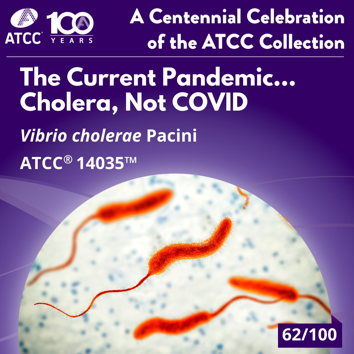 We’re in the 7th cholera pandemic. Caused by Vibrio cholerae, it spreads via contaminated water. The El Tor biotype dominates today. Though deadly, cholera is preventable and treatable—modern research and ATCC strains help drive solutions. 

Learn more: ow.ly/Y3yP50WJP8S