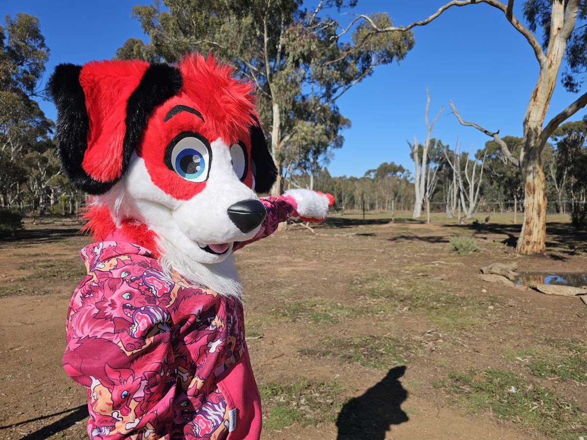 Happy #FursuitFriday. Here’s me pointing at shit