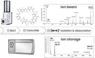 kermitmurray's tweet image. (IJMS) Revealing the unexpected: formal charge exchanges in collisional activation of cereulide ionized molecular species dlvr.it/TMdSdF (RSS) #ijms #MassSpecRSS