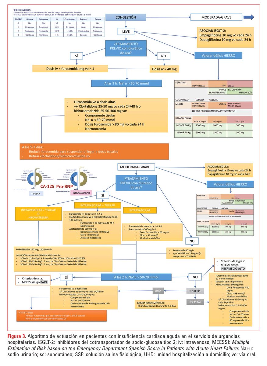 📌 💙Review muy completo de tratamiento diurético en #insuficienciacardiaca aguda ¡Imprescindible para #Urgencias! ¡Enhorabuena <a href="/Begoef/">Begoña Espinosa</a>! 👏🏽👏🏽#DocenciaUrgencias  medicinadeemergencias.com/frame_esp.php?…