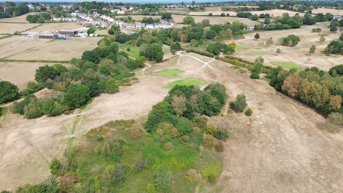 David Healy tweet media