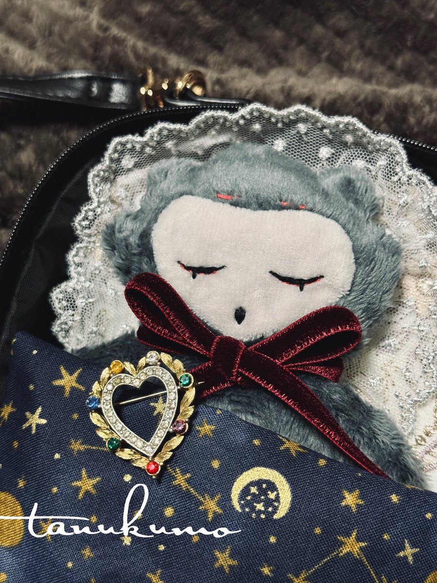 すうすうとほうほうの間🌙💜🦉💤