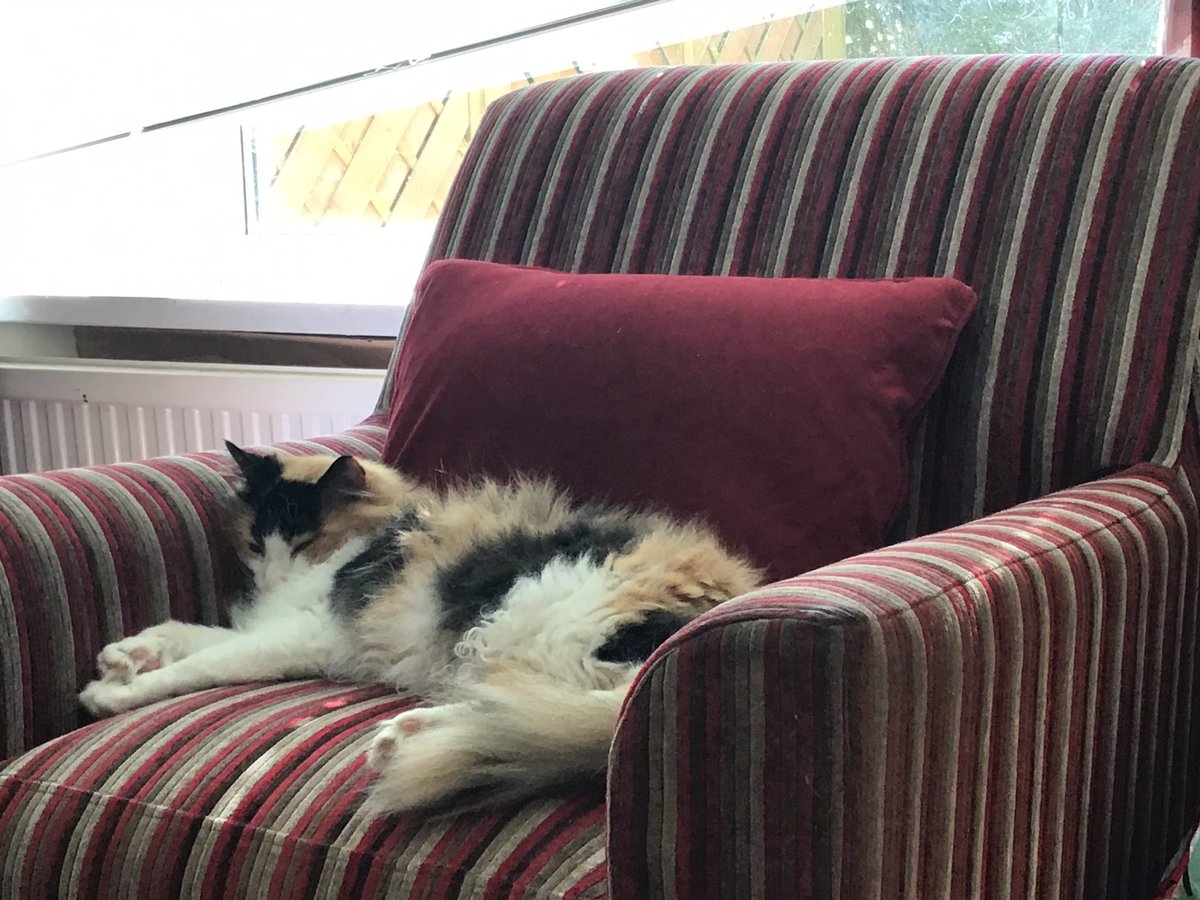 maisieandruby1's tweet photo. It has been the weekend of comfort 😍 https://t.co/Z2YQPsTdmz