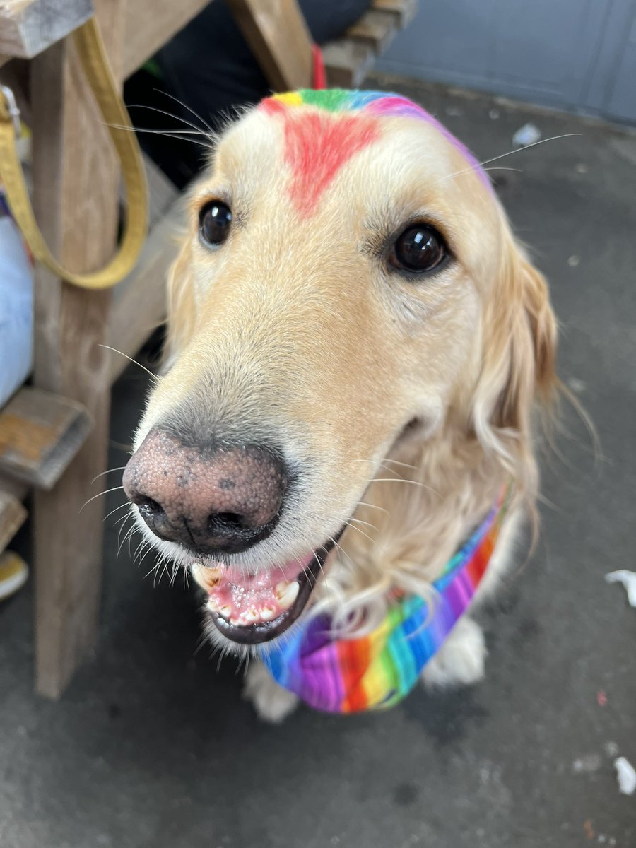 BearBackPod's tweet photo. Notts Pride https://t.co/t8xWlRezU4