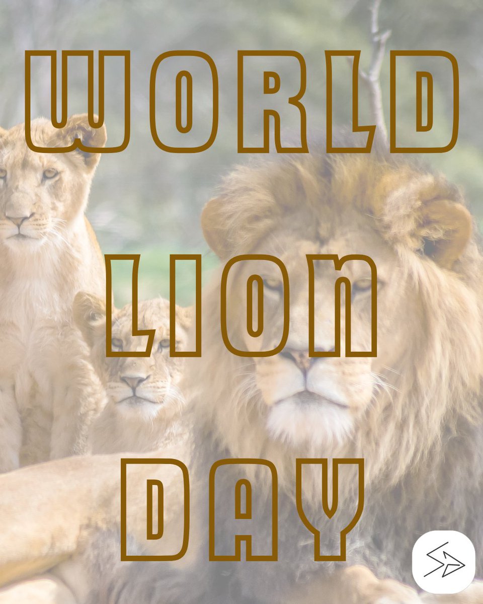 #WorldLionDay 🦁🎨
