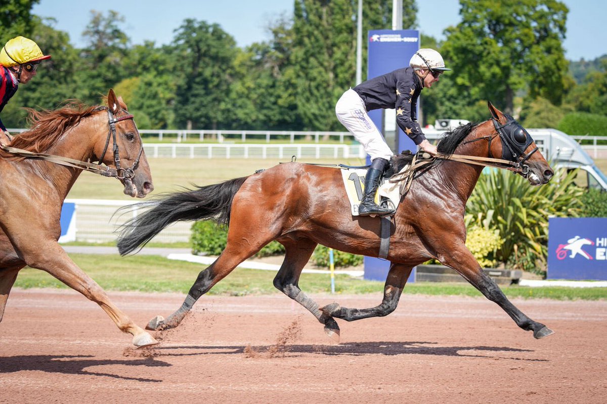 🥇🏆 𝑱’𝑨𝑰𝑴𝑬 𝑳𝑬 𝑭𝑶𝑶𝑻 𝒓𝒆𝒏𝒐𝒖𝒆 𝒂𝒗𝒆𝒄 𝒍𝒂 𝒗𝒊𝒄𝒕𝒐𝒊𝒓𝒆 𝒅𝒂𝒏𝒔 𝒍𝒆 𝑷𝒓𝒊𝒙 𝒅𝒆 𝑳𝒐𝒏𝒅𝒓𝒆𝒔 (𝑮𝒓.𝟐) !

Il aura fallu attendre 2 ans pour revoir le protégé d’Antoine Lhérété repasser le poteau en tête. Ce fils de Boccador de Simm ajoute un nouveau