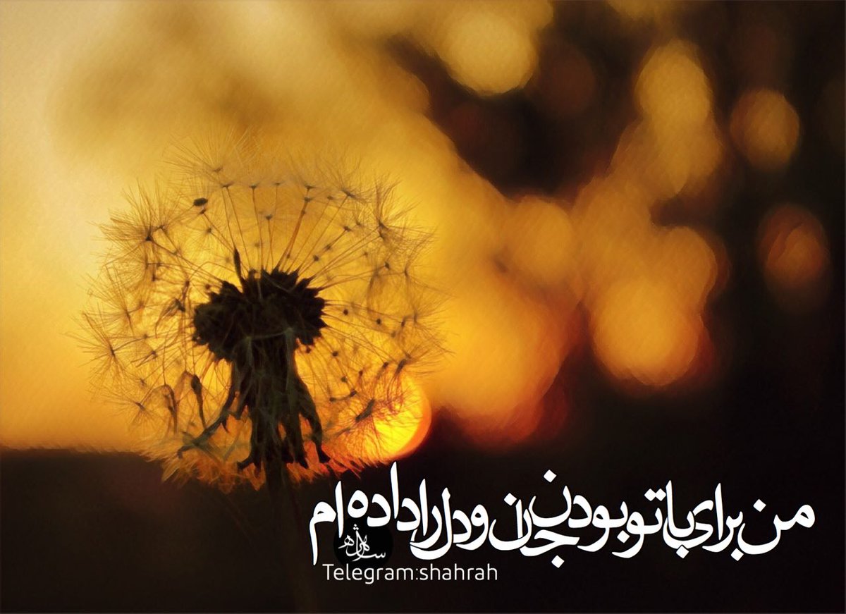 Shahrah_ir's tweet image. من برای با تو بودن جان و دل را داده‌ام
 از صمیم دل بدان ای یار می‌نازم به تو...!

#شعر_انتظار