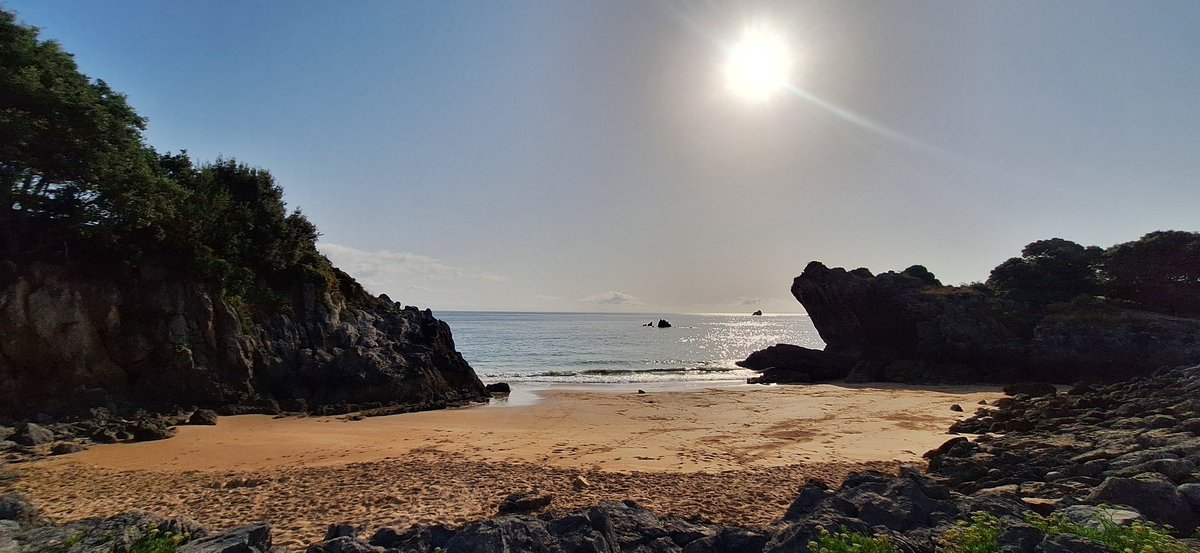 LAURAGALAN81's tweet photo. La chica de los conciertos, de los atardeceres, la del olor a salitre y arena en la piel.
#DeGuerraYOro⚔️🦁
#DaysOfWar🔥
🌛🌴🌊🐚 https://t.co/oxMLH9j2hX