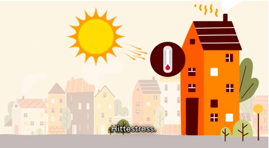 Arnhem Direct (@arnhemdirect) on Twitter photo De komende dagen tikt de thermometer voor de tweede keer in de zomer van 2025 de 30 graden aan. De <a href="/DeArnhem/">De Energiebank Arnhem</a> heeft een video met tips om zowel jezelf als je huis koel te houden. Hoe voorkom je hittestress?
youtube.com/watch?v=sG0Vpl…
#energiearmoede #energie #energietransitie De komende dagen tikt de thermometer voor de tweede keer in de zomer van 2025 de 30 graden aan. De <a href="/DeArnhem/">De Energiebank Arnhem</a> heeft een video met tips om zowel jezelf als je huis koel te houden. Hoe voorkom je hittestress?
youtube.com/watch?v=sG0Vpl…
#energiearmoede #energie #energietransitie