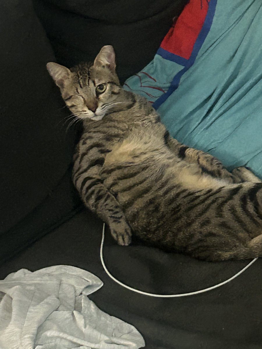 Anthems for a Twenty Five Year‐Old Boy tweet media