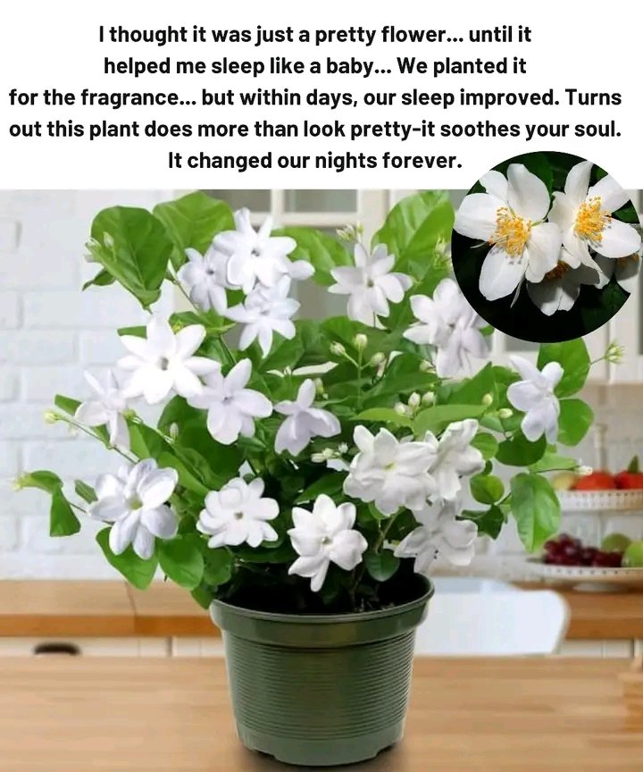 KossyF3's tweet photo. It's all about nature! ☘️
📗✍️ https://t.co/BSWt6tANWP