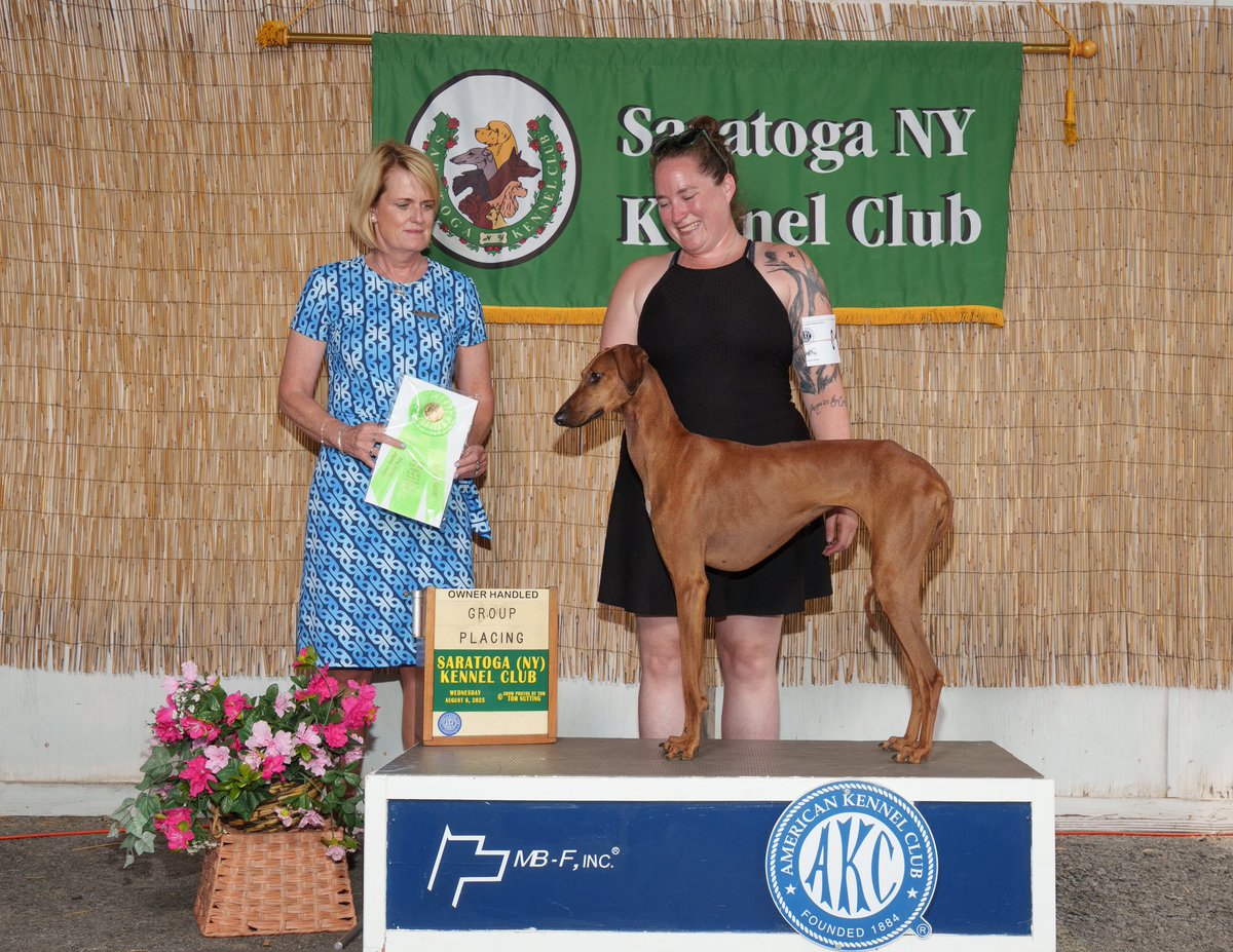 TwoMares's tweet image. OH Group 2 from Wednesday! We’ve been very busy so we are Very Tired