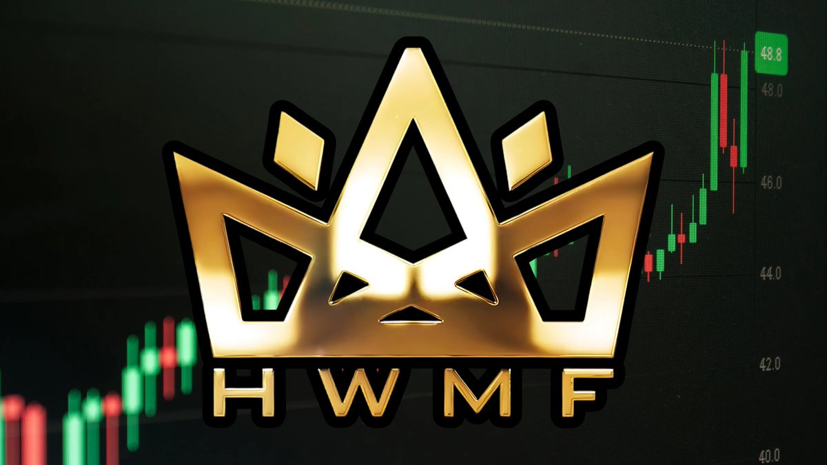 𝗠𝗔𝗧𝗧𝗬 ʜᴡᴍꜰ 🜲 tweet media